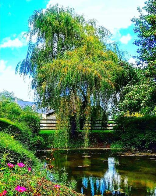 Hotel Le Manoir De Mathan Crepon A La Campagne 5 Mn D'Arromanches Et 10 Mn De Bayeux 외부 사진